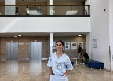 გერმანული გამოცდილება, როგორც პროფესიული განვითარების ახალი საფეხური