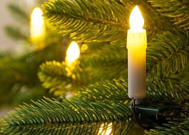 1 იანვარს დაბადებულთა შორის მხოლოდ 4 უნივერსიტეტელი პროფესორი აღმოვაჩინეთ